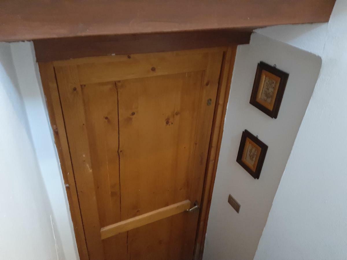 Porcellana Twenty-Six Florence Wi-Fi Apartment Eksteriør bilde